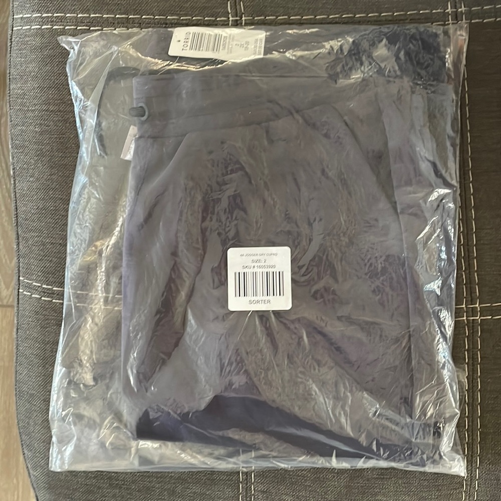 GRAY Torrid Cupro Athletic Joggers